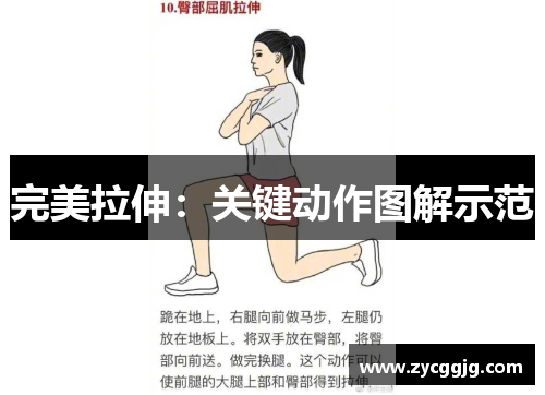 完美拉伸：关键动作图解示范