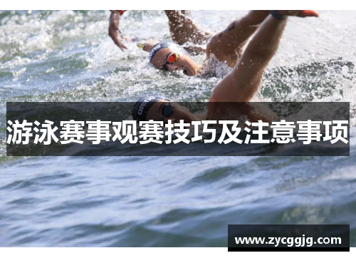 游泳赛事观赛技巧及注意事项