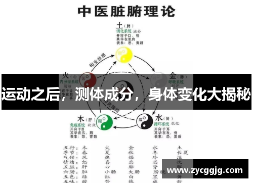 运动之后，测体成分，身体变化大揭秘